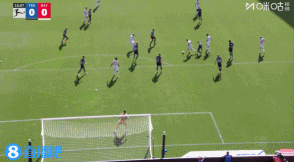gif, net, 普里赛尔竞