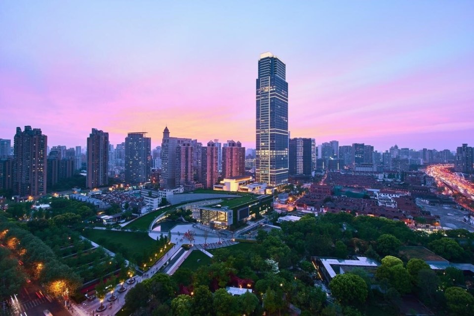 健康长寿与, CFdVR 健康长寿与, CFdVR