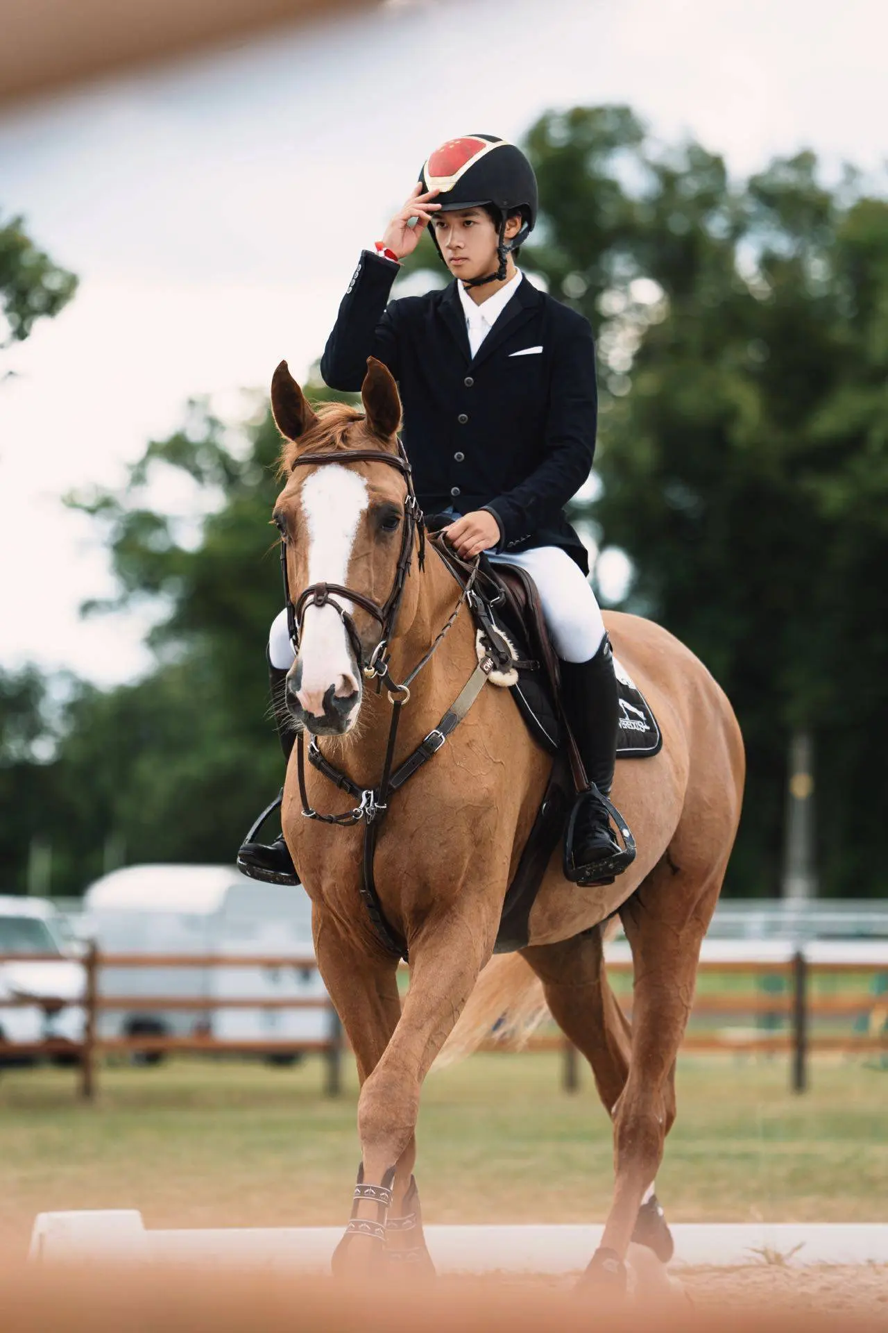 新晋体育圈 新晋体育圈